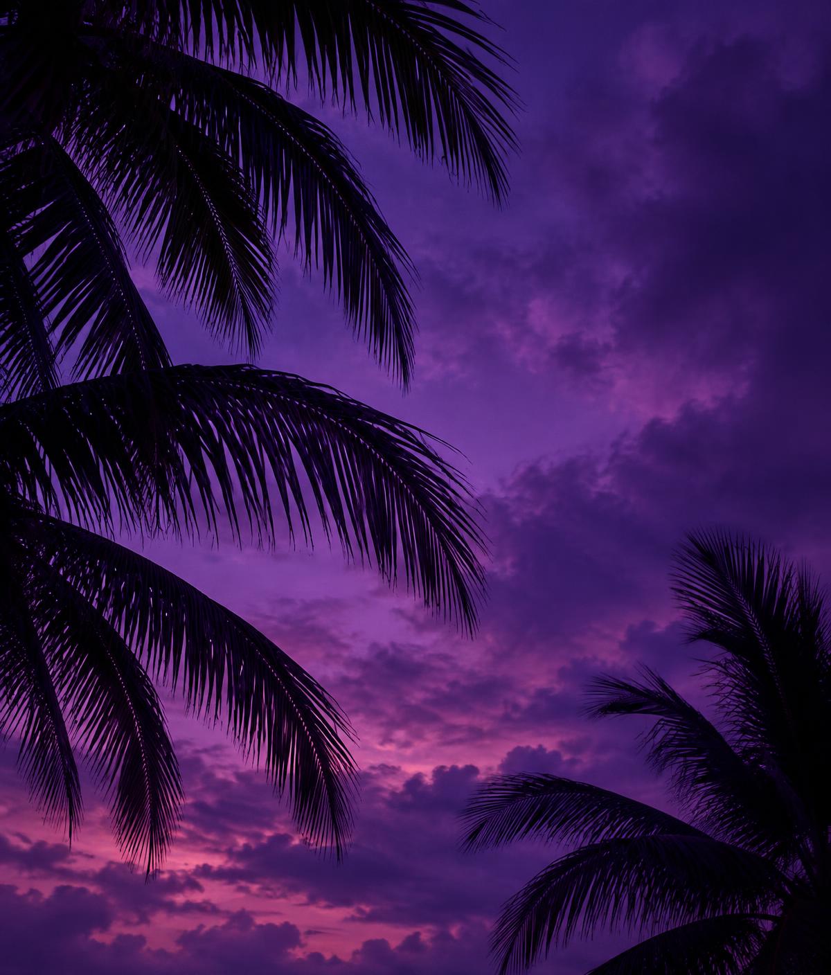 Palm fronds against a violet dusk sky